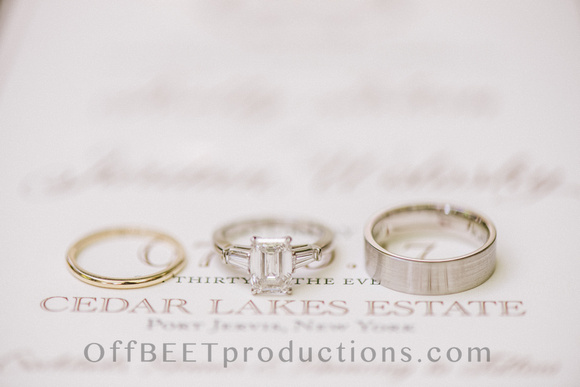 Cedar-Lakes-Estate-Wedding-63